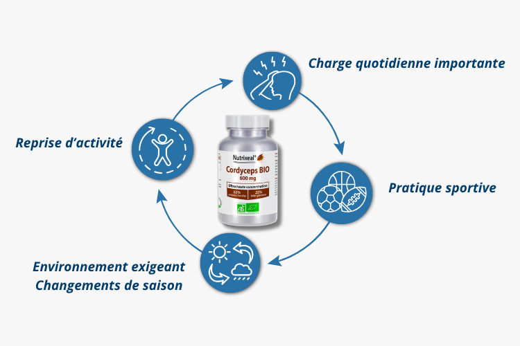 Pour qui le Cordyceps BIO très concentré, souche CS-4